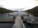 ./images/calvert/dock/20160918/dock20160918_161504.jpg