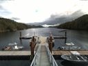 ./images/calvert/dock/20160919/dock20160919_120504.jpg