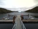 ./images/calvert/dock/20160920/dock20160920_161004.jpg