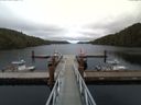 ./images/calvert/dock/20160920/dock20160920_162002.jpg