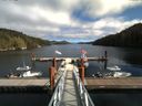 ./images/calvert/dock/20160921/dock20160921_141003.jpg