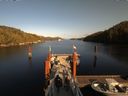 ./images/calvert/dock/20160927/dock20160927_161504.jpg