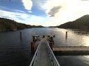 ./images/calvert/dock/20161012/dock20161012_104003.jpg