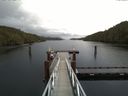 ./images/calvert/dock/20161018/dock20161018_125002.jpg