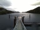./images/calvert/dock/20161021/dock20161021_084003.jpg