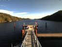 ./images/calvert/dock/20161026/dock20161026_130501.jpg