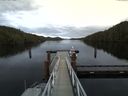 ./images/calvert/dock/20161028/dock20161028_114502.jpg