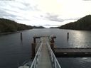 ./images/calvert/dock/20161031/dock20161031_114503.jpg