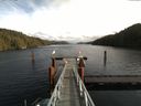 ./images/calvert/dock/20161103/dock20161103_130503.jpg