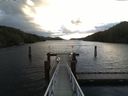 ./images/calvert/dock/20161105/dock20161105_094004.jpg