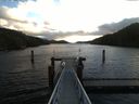 ./images/calvert/dock/20161105/dock20161105_094504.jpg