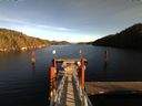 ./images/calvert/dock/20161109/dock20161109_135504.jpg