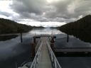 ./images/calvert/dock/20161111/dock20161111_081003.jpg