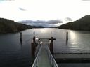 ./images/calvert/dock/20161117/dock20161117_074502.jpg