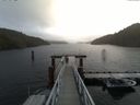 ./images/calvert/dock/20161124/dock20161124_095502.jpg