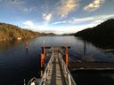 ./images/calvert/dock/20161125/dock20161125_124502.jpg