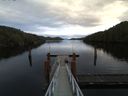 ./images/calvert/dock/20161125/dock20161125_144001.jpg