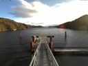 ./images/calvert/dock/20161209/dock20161209_105001.jpg