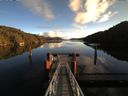 ./images/calvert/dock/20161222/dock20161222_120504.jpg