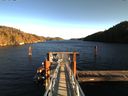 ./images/calvert/dock/20170110/dock20170110_135001.jpg