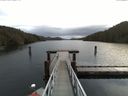 ./images/calvert/dock/20170124/dock20170124_101501.jpg