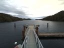 ./images/calvert/dock/20170126/dock20170126_114502.jpg