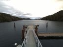 ./images/calvert/dock/20170126/dock20170126_131502.jpg