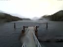 ./images/calvert/dock/20170127/dock20170127_155004.jpg