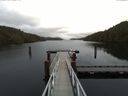 ./images/calvert/dock/20170129/dock20170129_121502.jpg