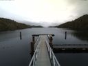 ./images/calvert/dock/20170129/dock20170129_132504.jpg