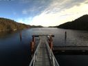 ./images/calvert/dock/20170130/dock20170130_125504.jpg