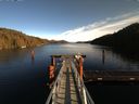 ./images/calvert/dock/20170130/dock20170130_134504.jpg