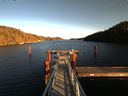./images/calvert/dock/20170201/dock20170201_153002.jpg