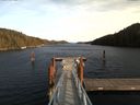 ./images/calvert/dock/20170203/dock20170203_144504.jpg