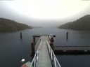 ./images/calvert/dock/20170210/dock20170210_140001.jpg
