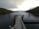 ./images/calvert/dock/20170210/dock20170210_140501.jpg