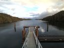 ./images/calvert/dock/20170210/dock20170210_152004.jpg