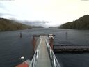 ./images/calvert/dock/20170212/dock20170212_131504.jpg