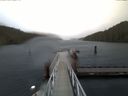 ./images/calvert/dock/20170214/dock20170214_133504.jpg
