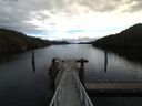 ./images/calvert/dock/20170219/dock20170219_113503.jpg