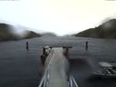 ./images/calvert/dock/20170312/dock20170312_154503.jpg