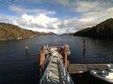./images/calvert/dock/20170319/dock20170319_155502.jpg