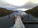 ./images/calvert/dock/20170325/dock20170325_092504.jpg