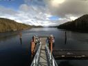 ./images/calvert/dock/20170325/dock20170325_151502.jpg