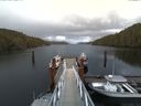 ./images/calvert/dock/20170401/dock20170401_184004.jpg