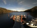 ./images/calvert/dock/20170403/dock20170403_171504.jpg