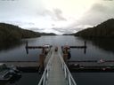 ./images/calvert/dock/20170410/dock20170410_153504.jpg