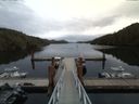 ./images/calvert/dock/20170412/dock20170412_180501.jpg