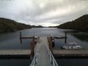 ./images/calvert/dock/20170416/dock20170416_145504.jpg