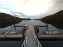 ./images/calvert/dock/20170417/dock20170417_173501.jpg